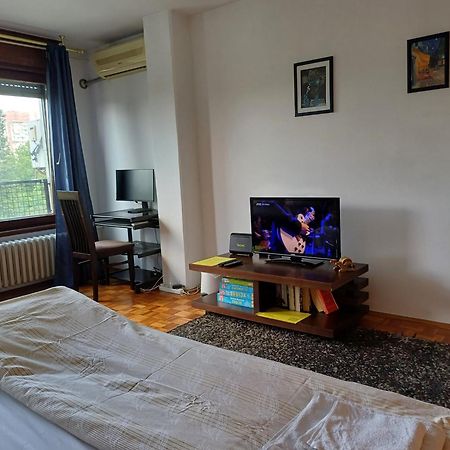 Apartment Student City, Wifi 300Mbs Belgrád Kültér fotó