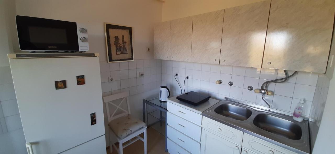 Apartment Student City, Wifi 300Mbs Belgrád Kültér fotó