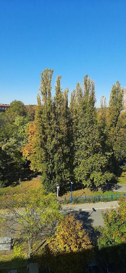 Apartment Student City, Wifi 300Mbs Belgrád Kültér fotó